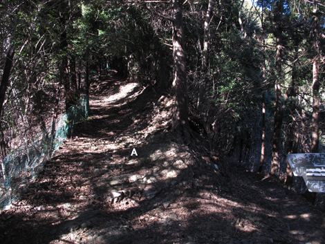 20170113hike (28)